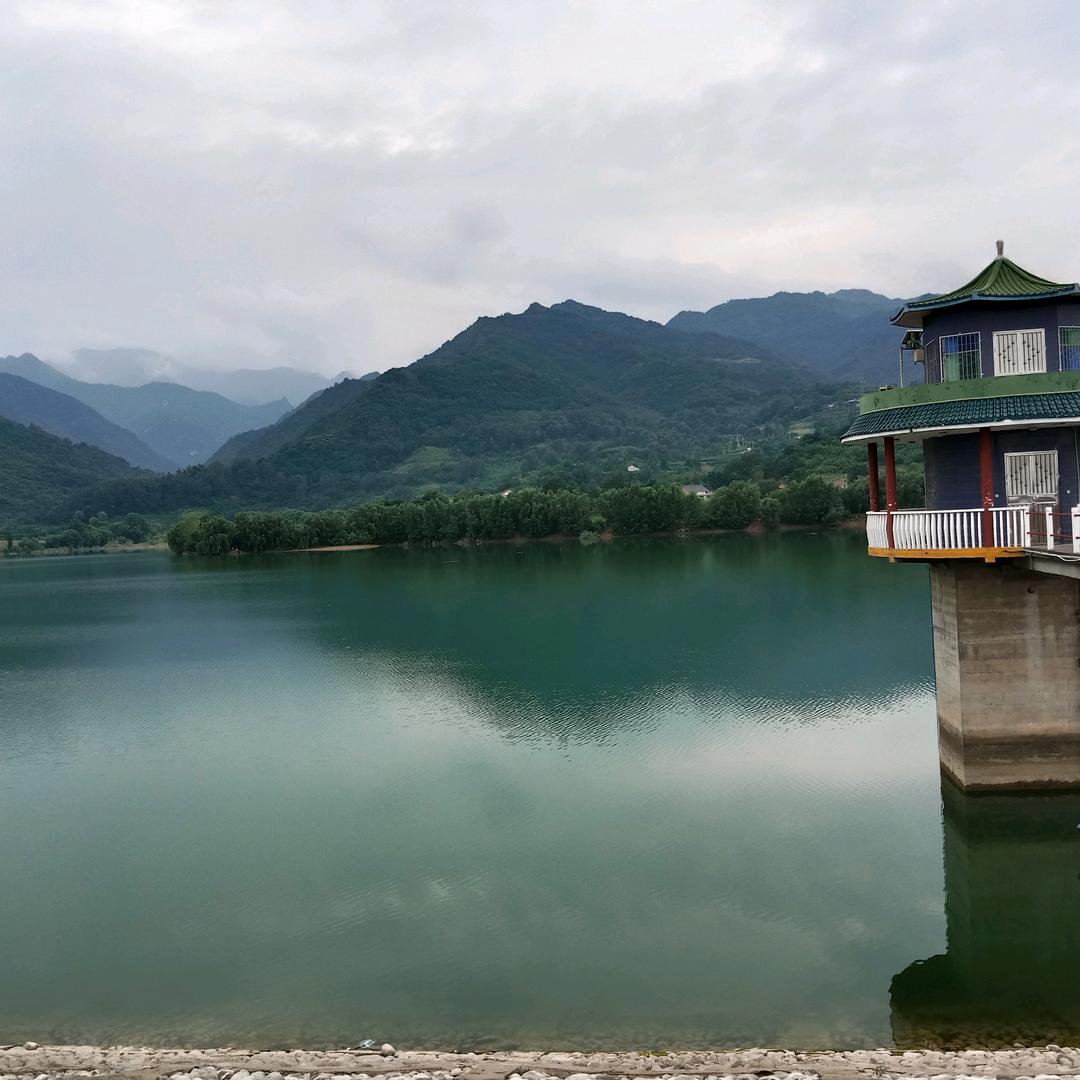 醉梦红尘