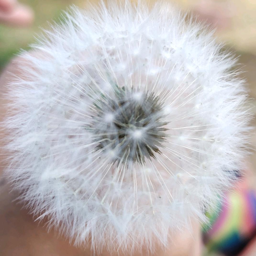 Qμメαηℳαý毵