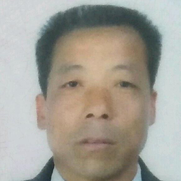 光辉岁月（晚上八点左右开播）