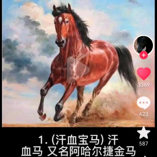 用户4928327344237天马行空