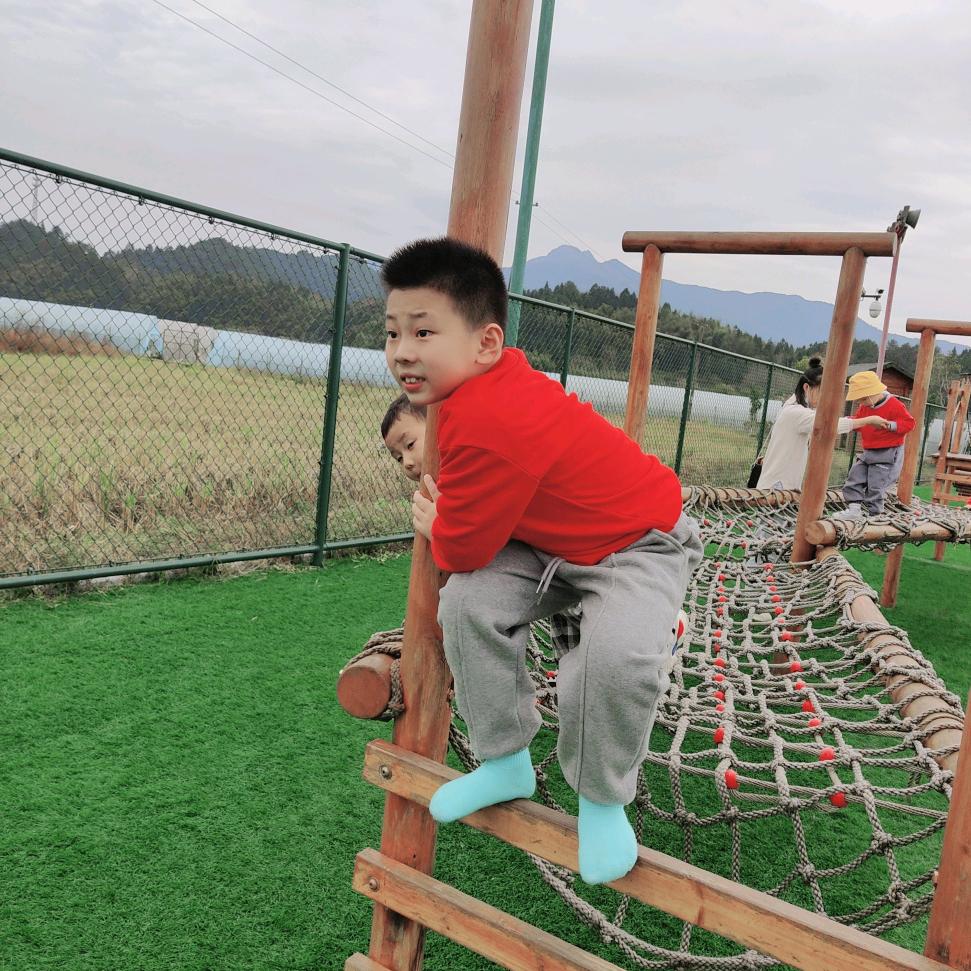 小高两羿
