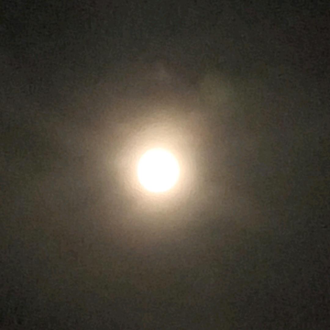 何明