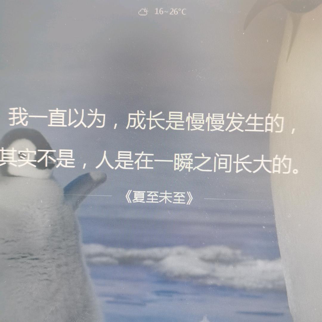 轻描淡写的青春