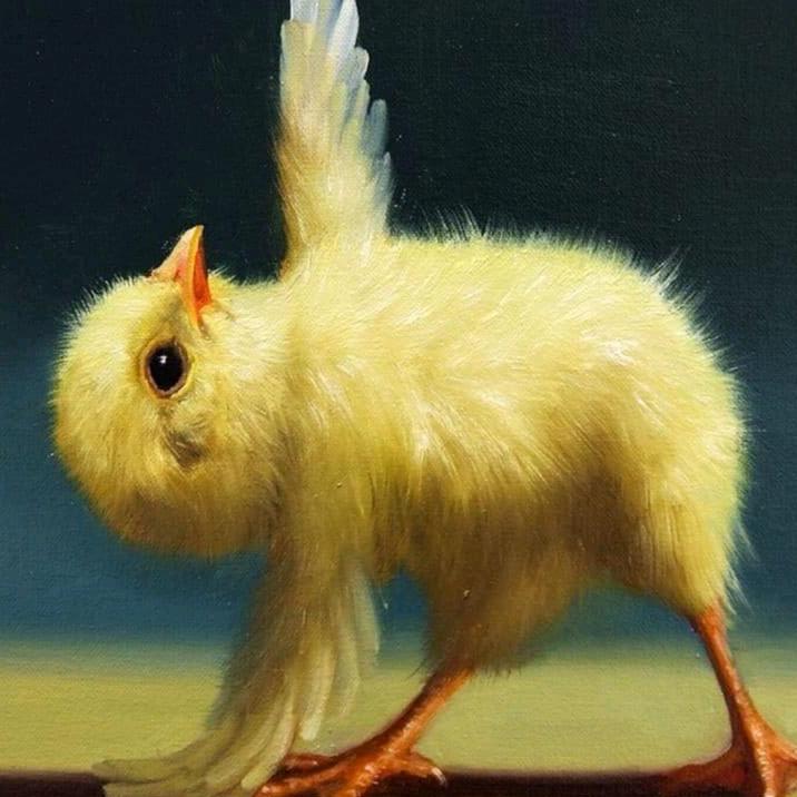 娇儿