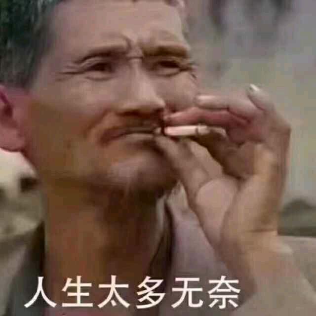 雨夜追风