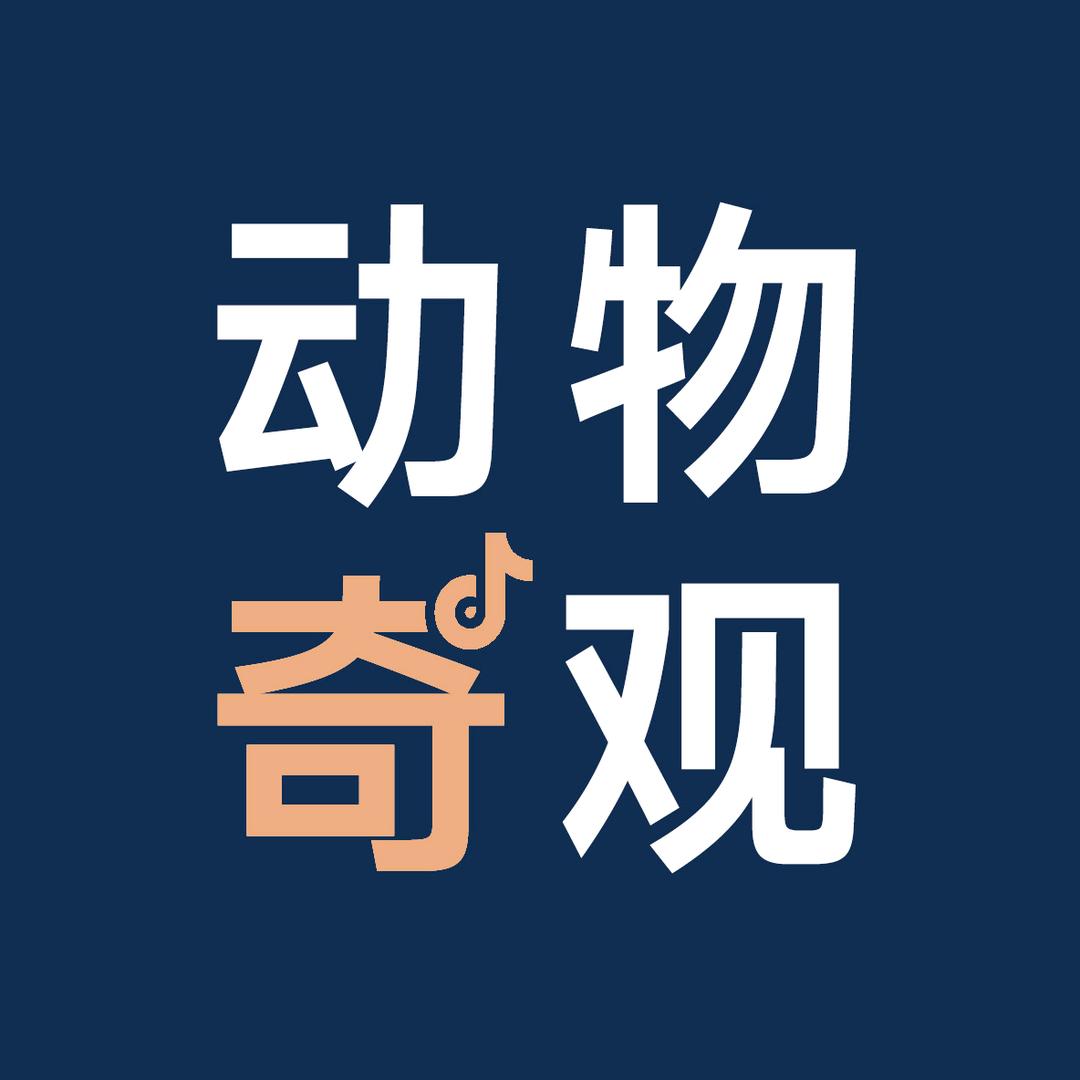 动物奇观