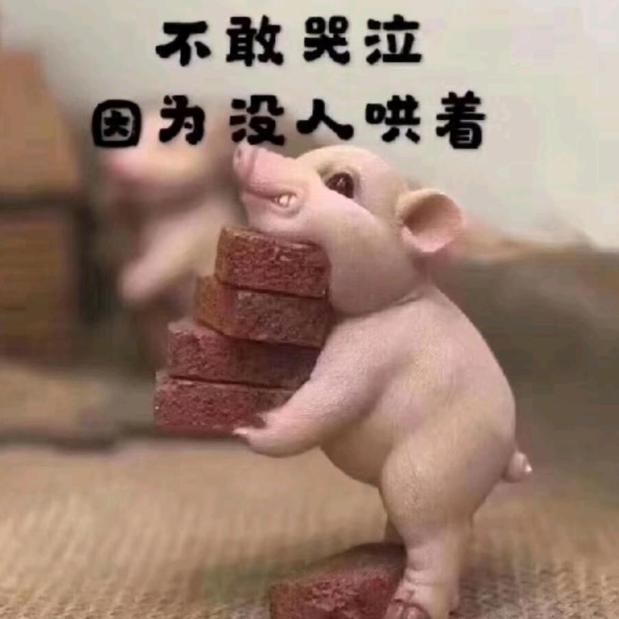 特别勤劳的驴