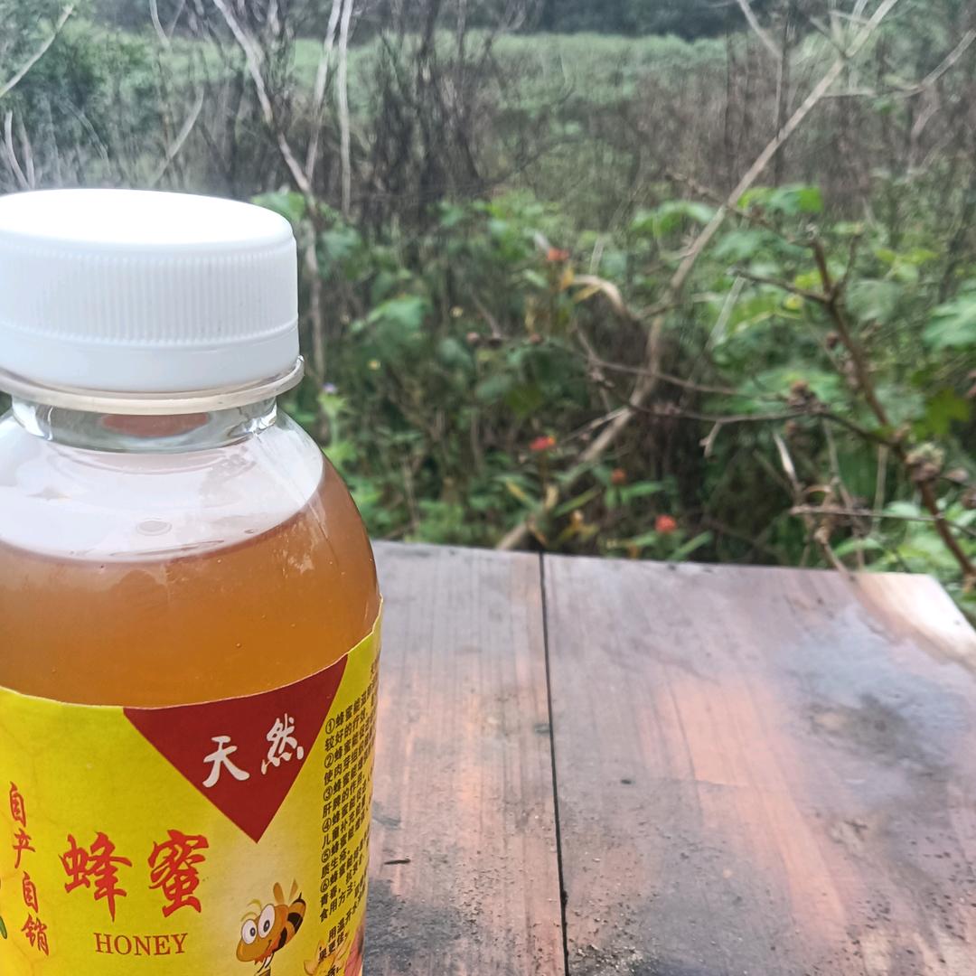 高州市新垌镇高良养蜜蜂谭小辉