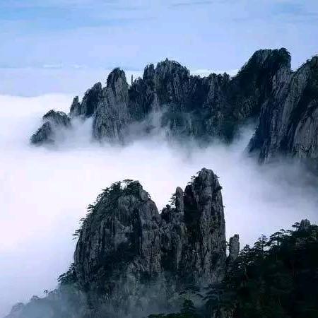 髙山流水