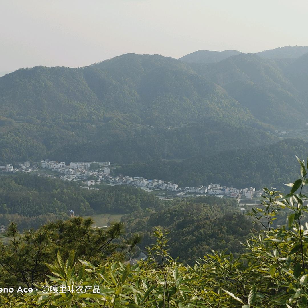 嘎里山货