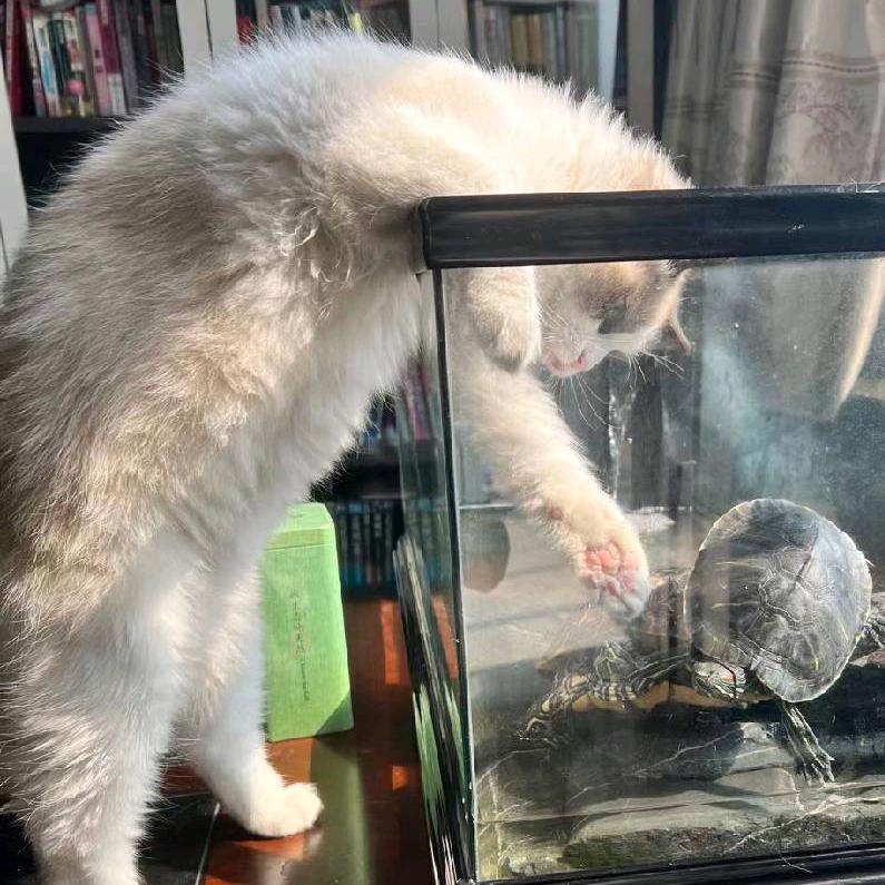 哆啦A梦的口袋仓库