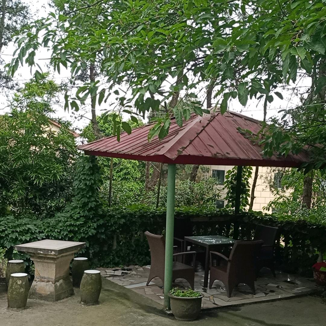 儒林里柴火鲍鱼鸡（龙兴店）