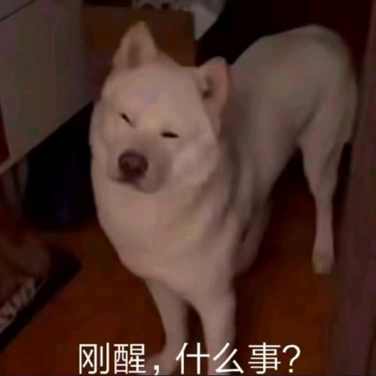 吃土豆长大的马铃薯