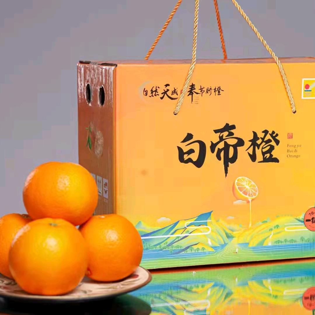 改变才能进步