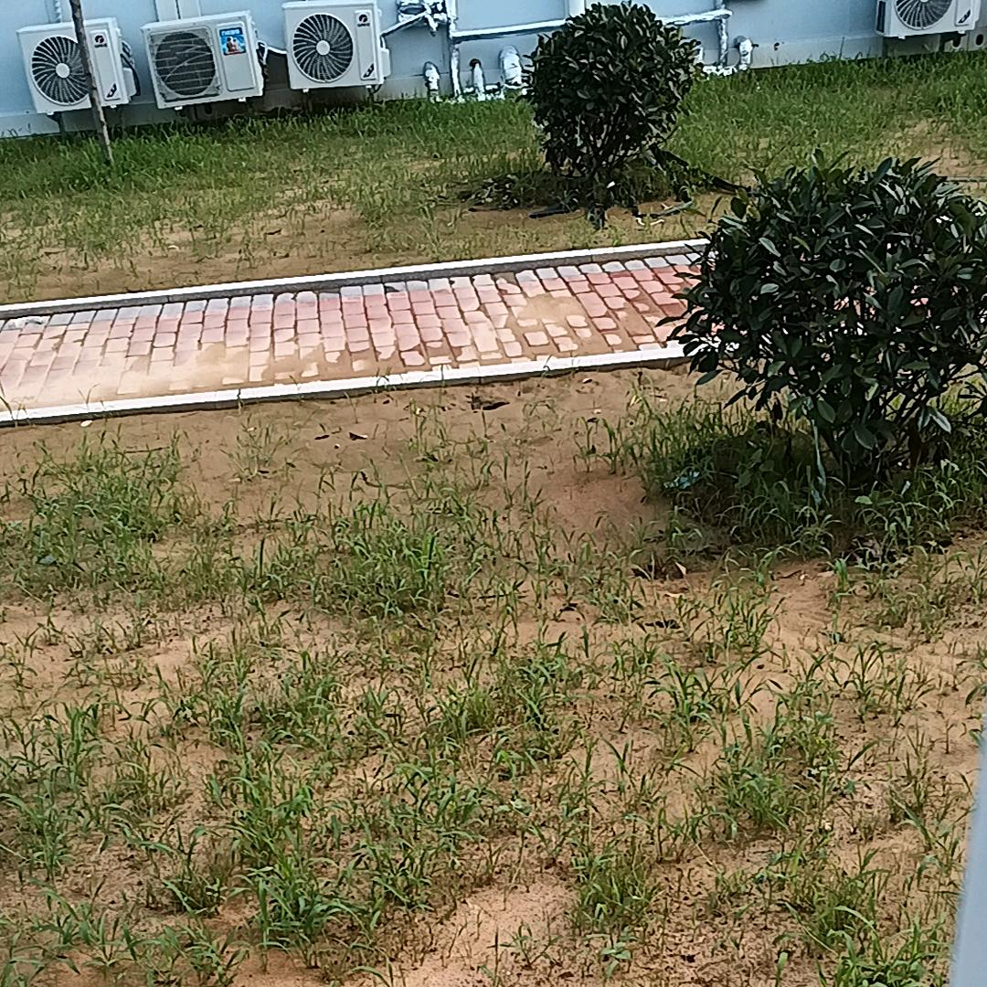 和伙人