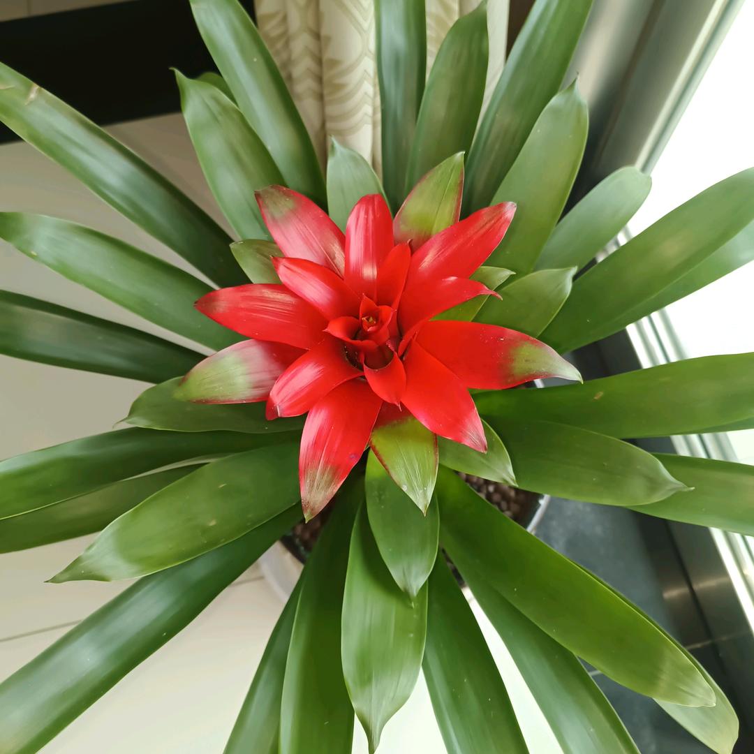 开心过好每一天