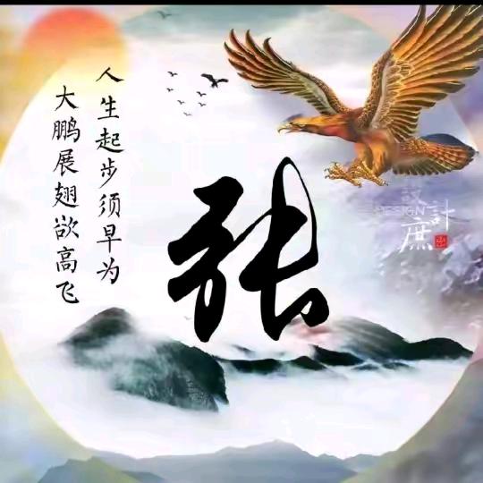 (湘岳华容)张义