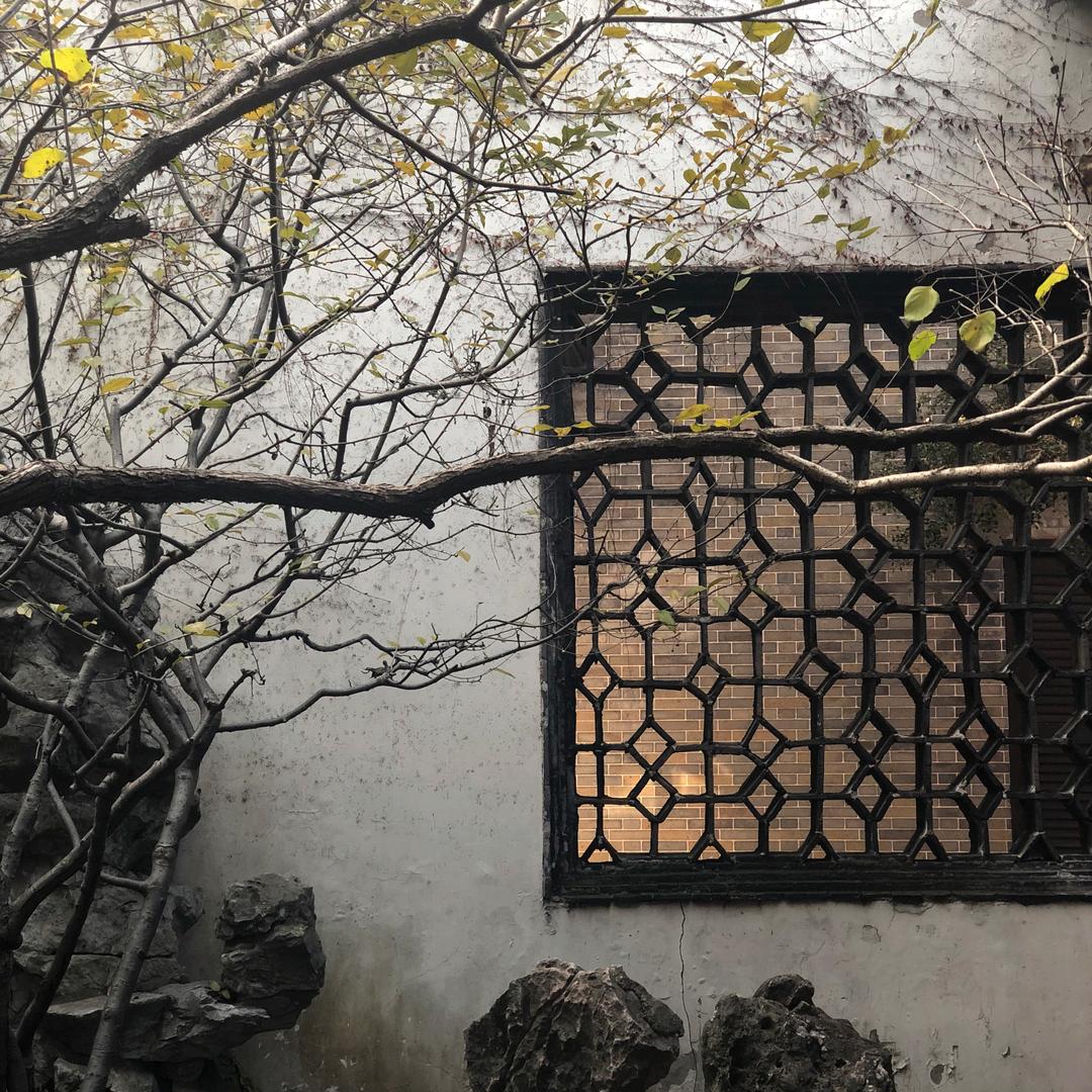 秦姐