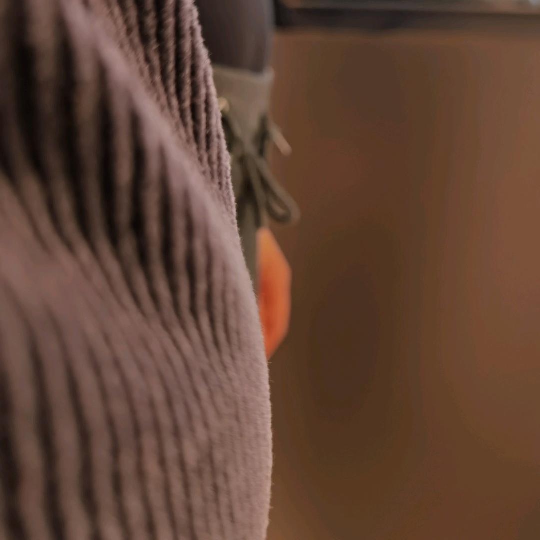 一头特立独行的猪