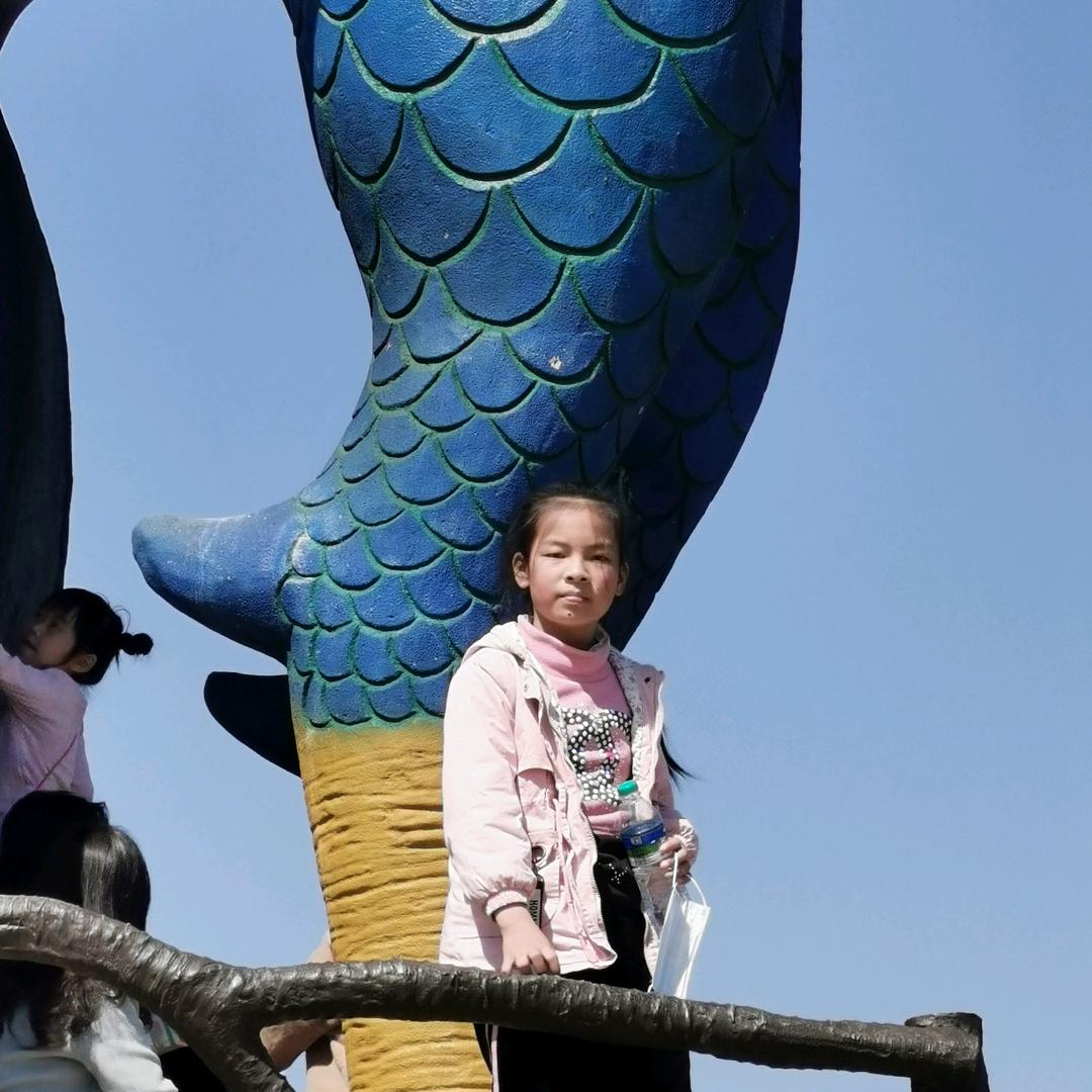 樊建春/橱窗有货