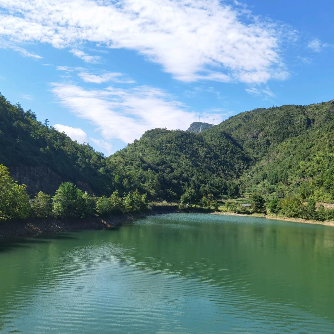 潘利镑