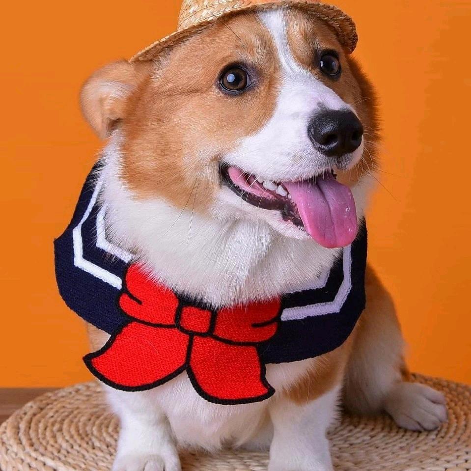 军军