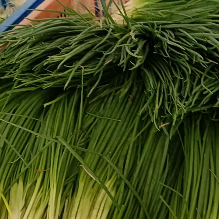 杨刚雷
