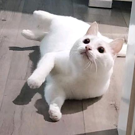 生如夏花345∮