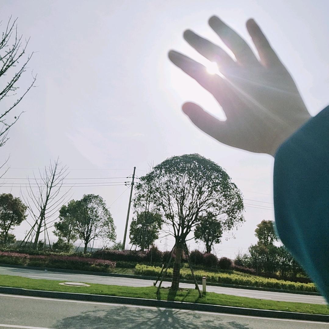 এღ.尐⃨懶໊猫ᮩ