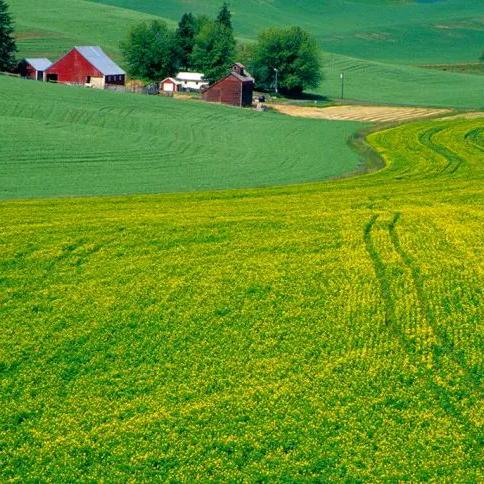 民勤的孩子勇闯天涯