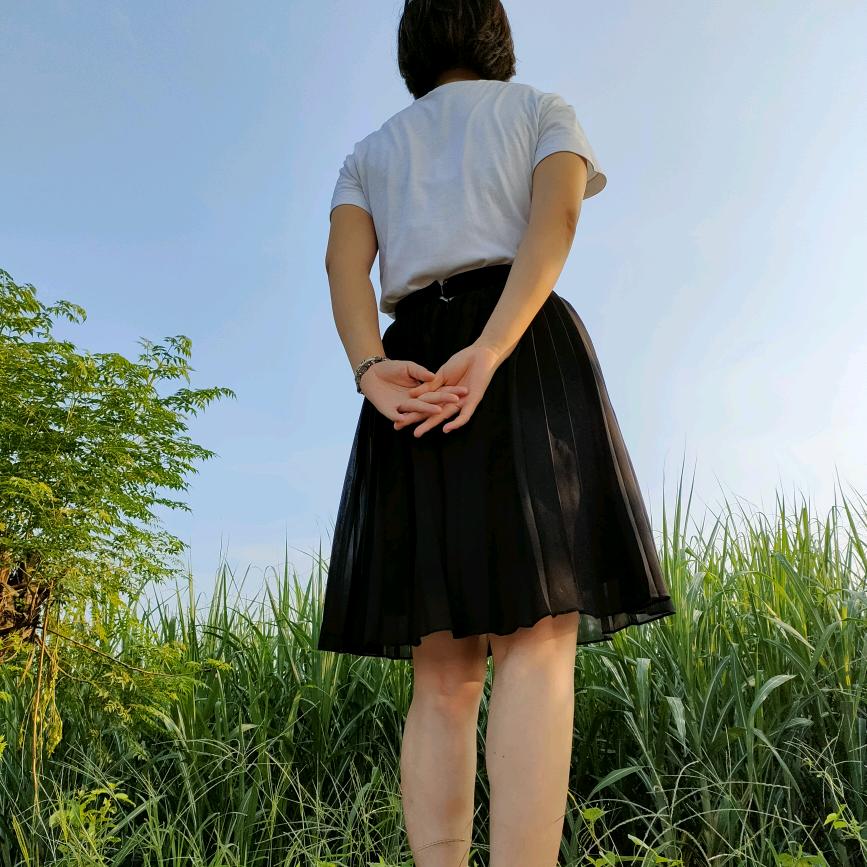 北海宏源塘角鱼苗