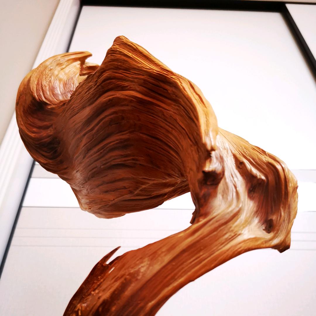 坐在月亮上看地球