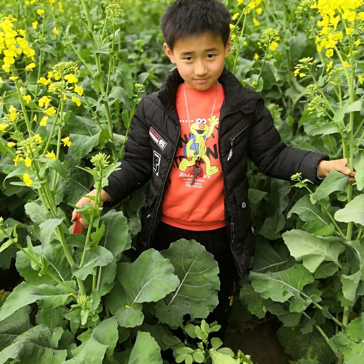 🌈🌈😗😗平淡🌈