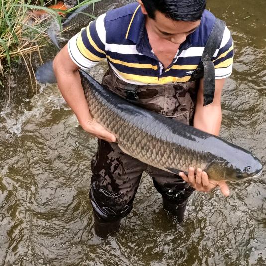 长麓胡家生态农业