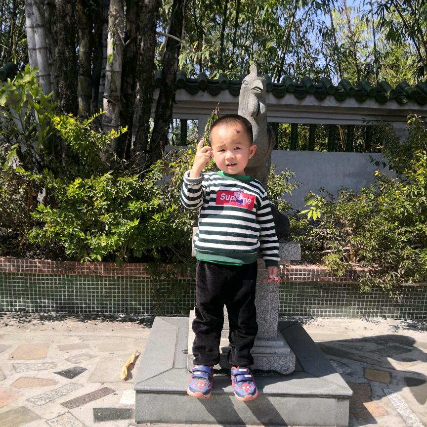 光辉岁月