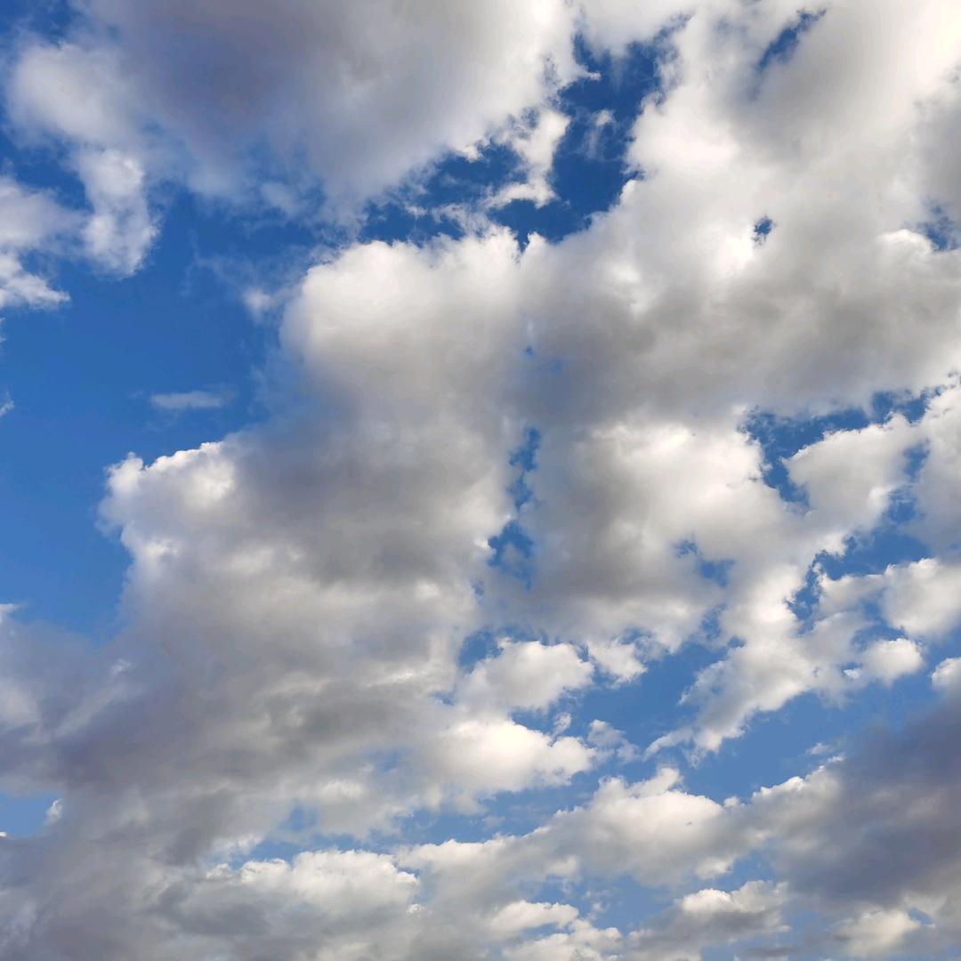 基因印刷张亚雄