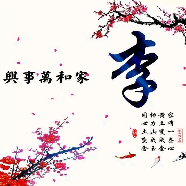 🌈🌈彩虹百合