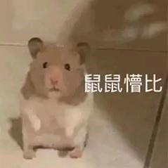 树脂666