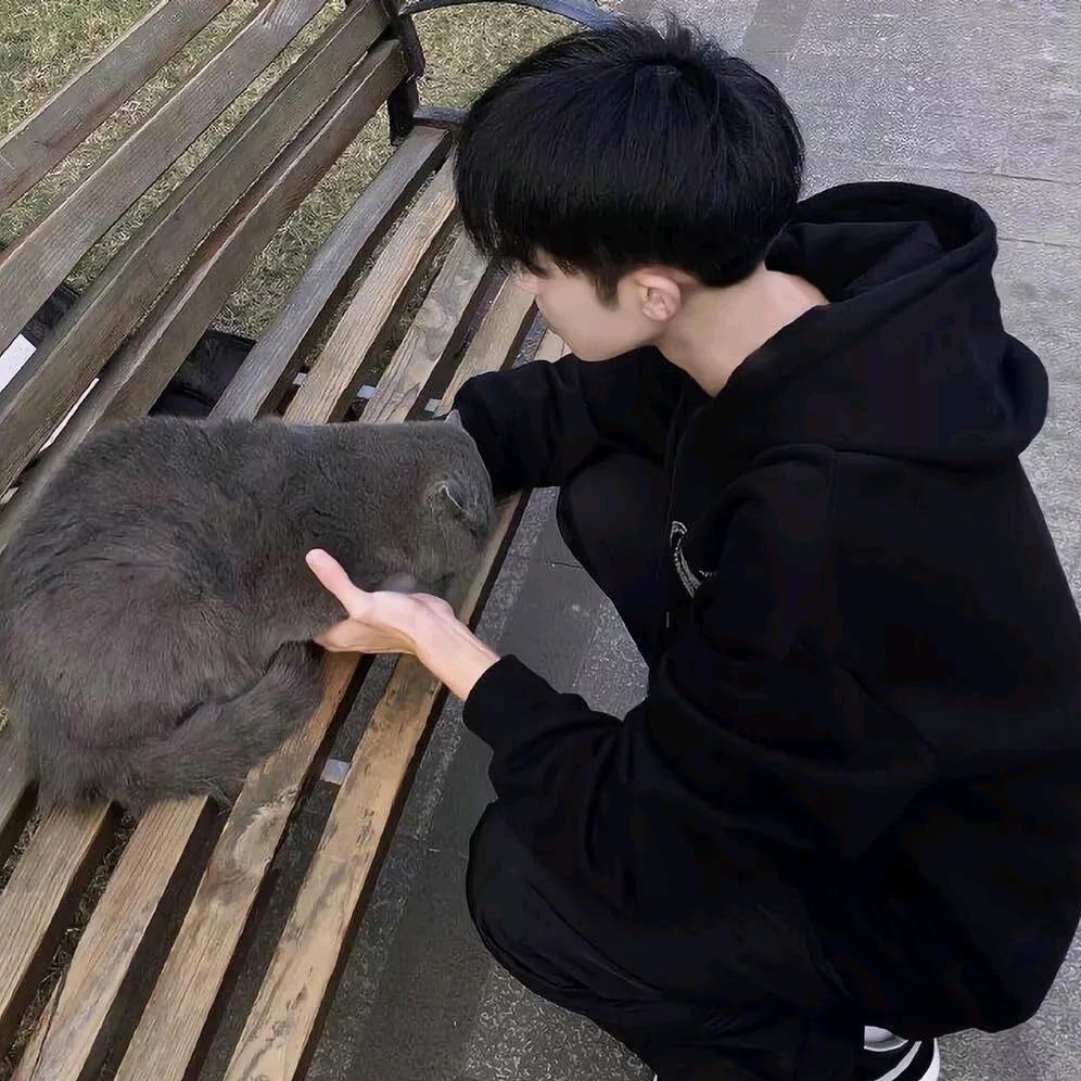 凌云寂（要力竭）