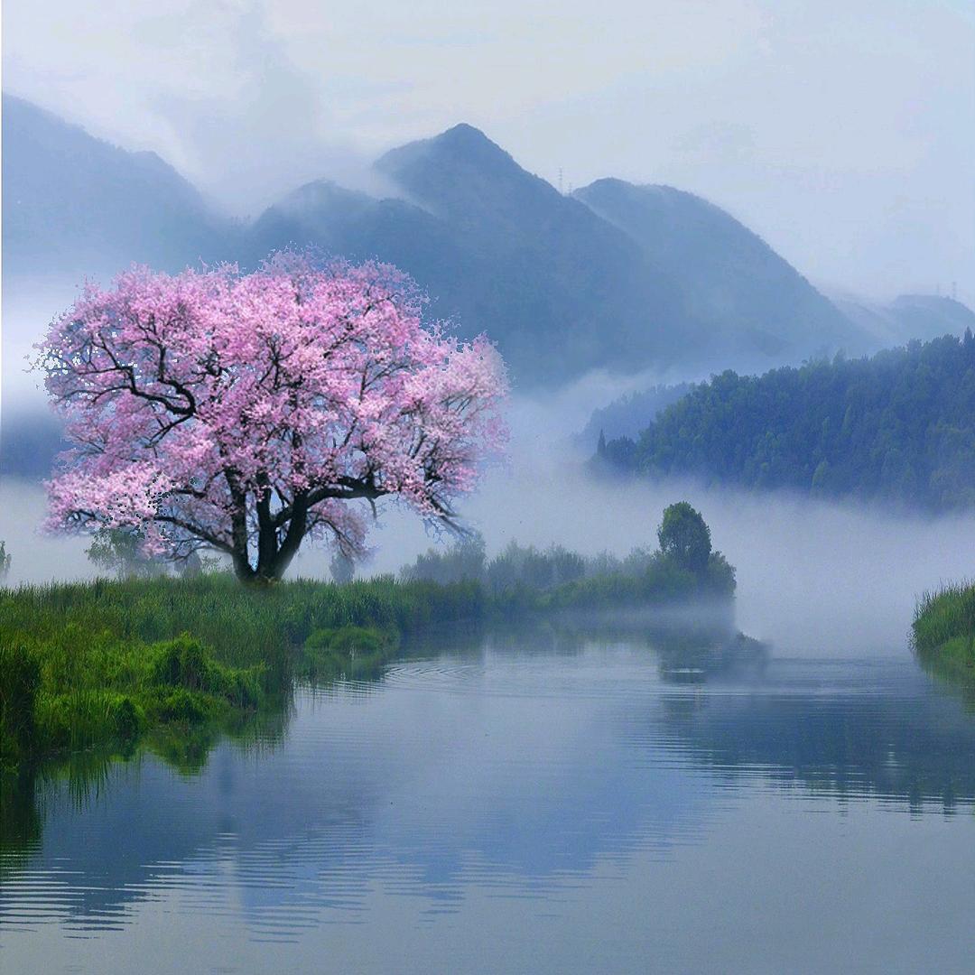 慧心(手机摄影）