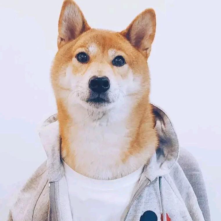 旺仔没有管