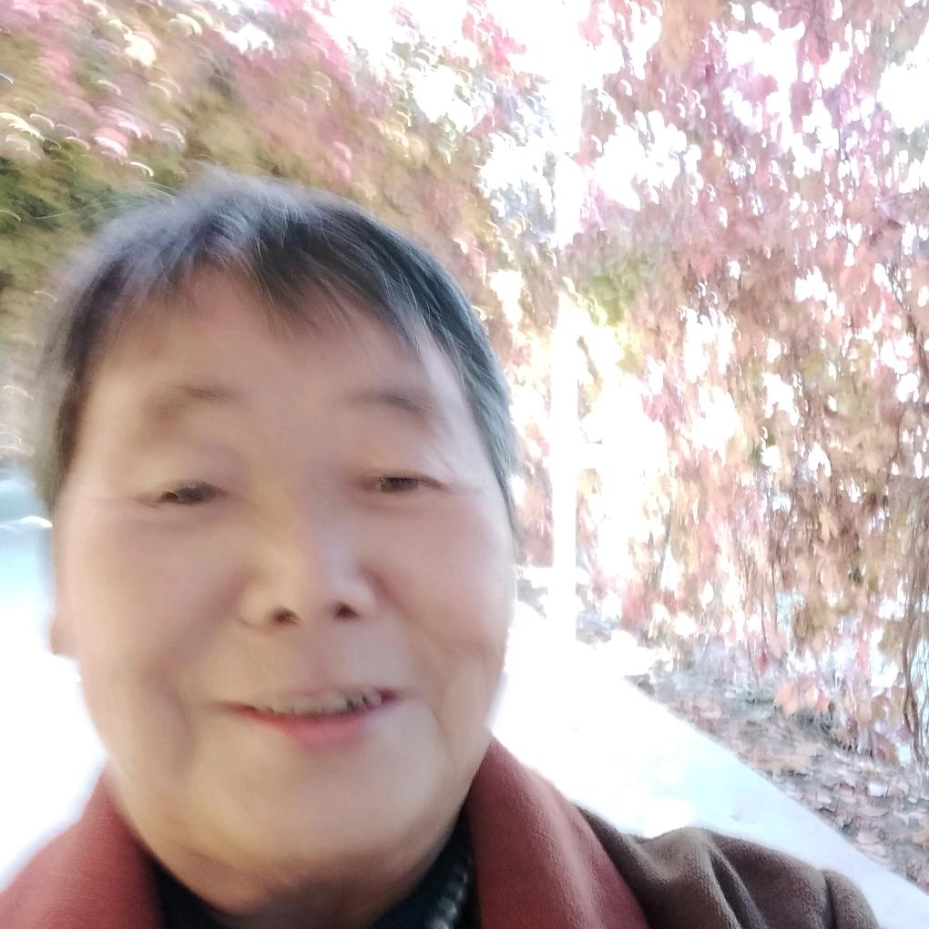 芙蓉