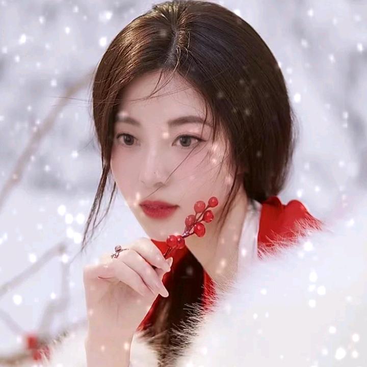 姐的爱情喂了狗