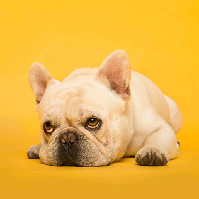 终被微风吹乱了心