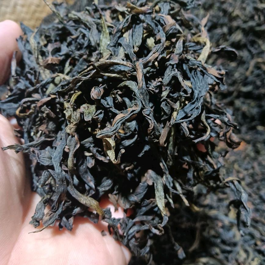 有缘人