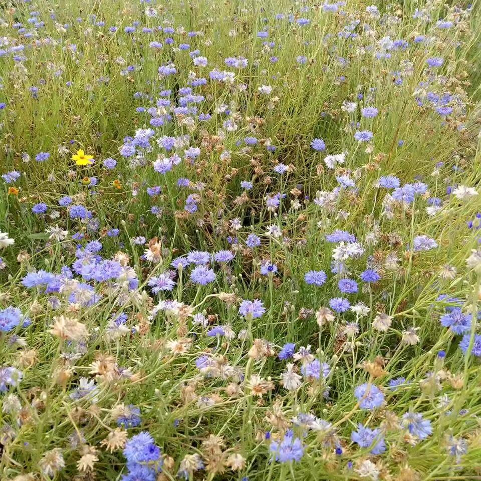 相亲相爱一家人