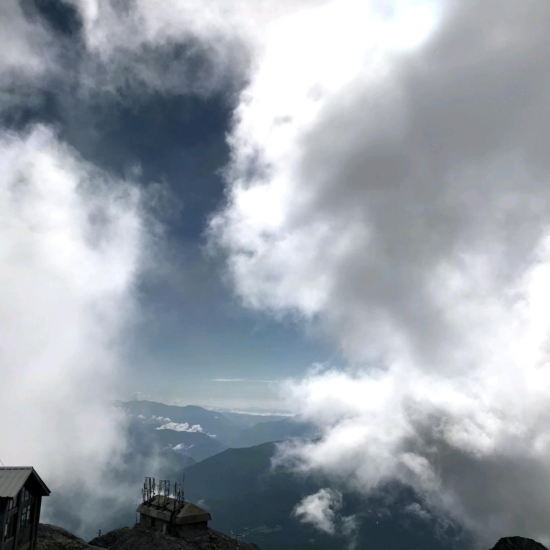 燕子
