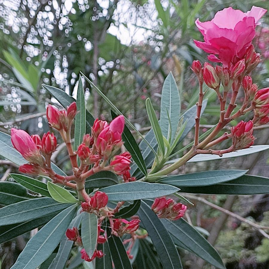 💝漂亮宝贝💝