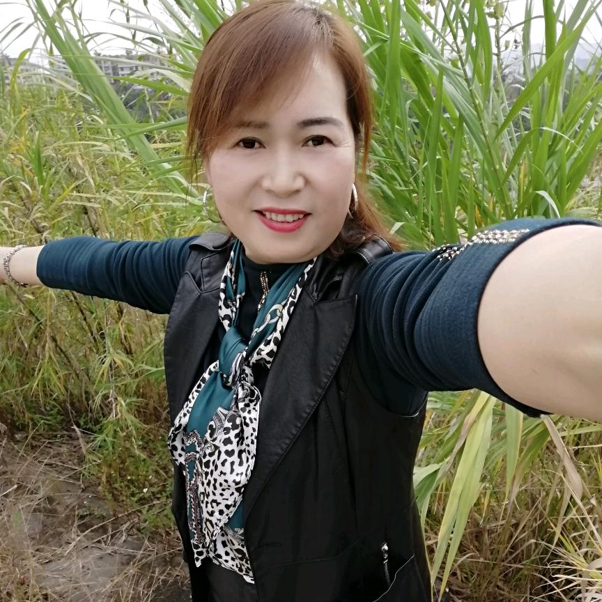 杨梅