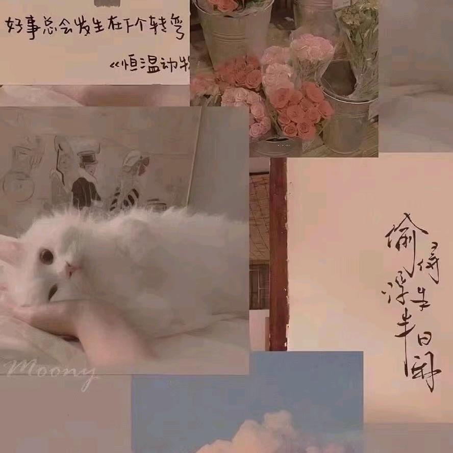 美丽的风景